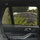 BMW X5 Window Shade G05 2019-Now [set of 6] - RVSUNSHADES